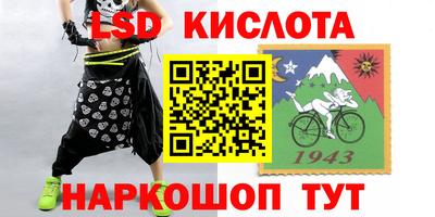 стафф Камышлов