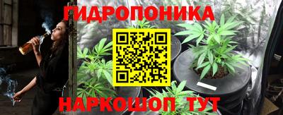 прущие крисы Канаш