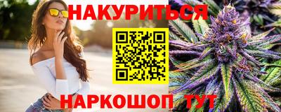 сатива Кандалакша