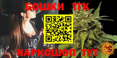 прущие крисы Канаш