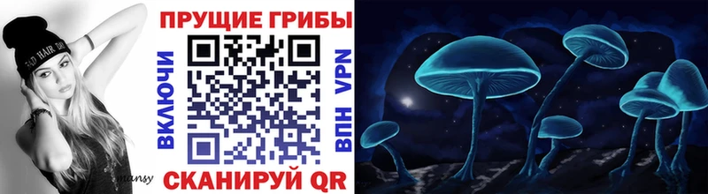 Галлюциногенные грибы мицелий  мега ONION  Мыски 