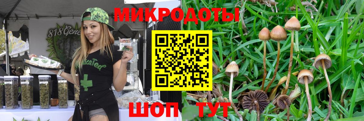 Псилоцибиновые грибы GOLDEN TEACHER Мыски