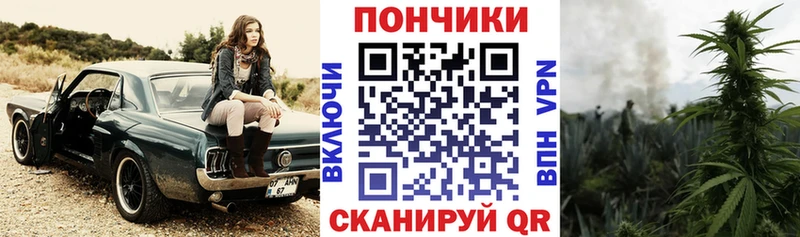 Марихуана гибрид Мыски
